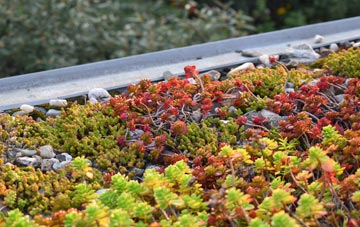 the cost of Invergowrie green roof installation