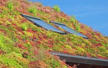 Invergowrie living roof systems