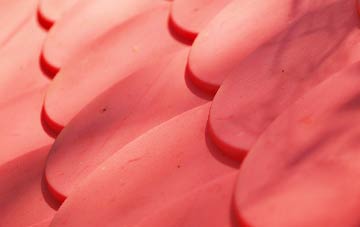 Invergowrie plastic roof costs