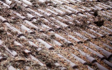 Invergowrie roof cleaning companies