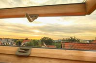 rated Invergowrie roof window companies